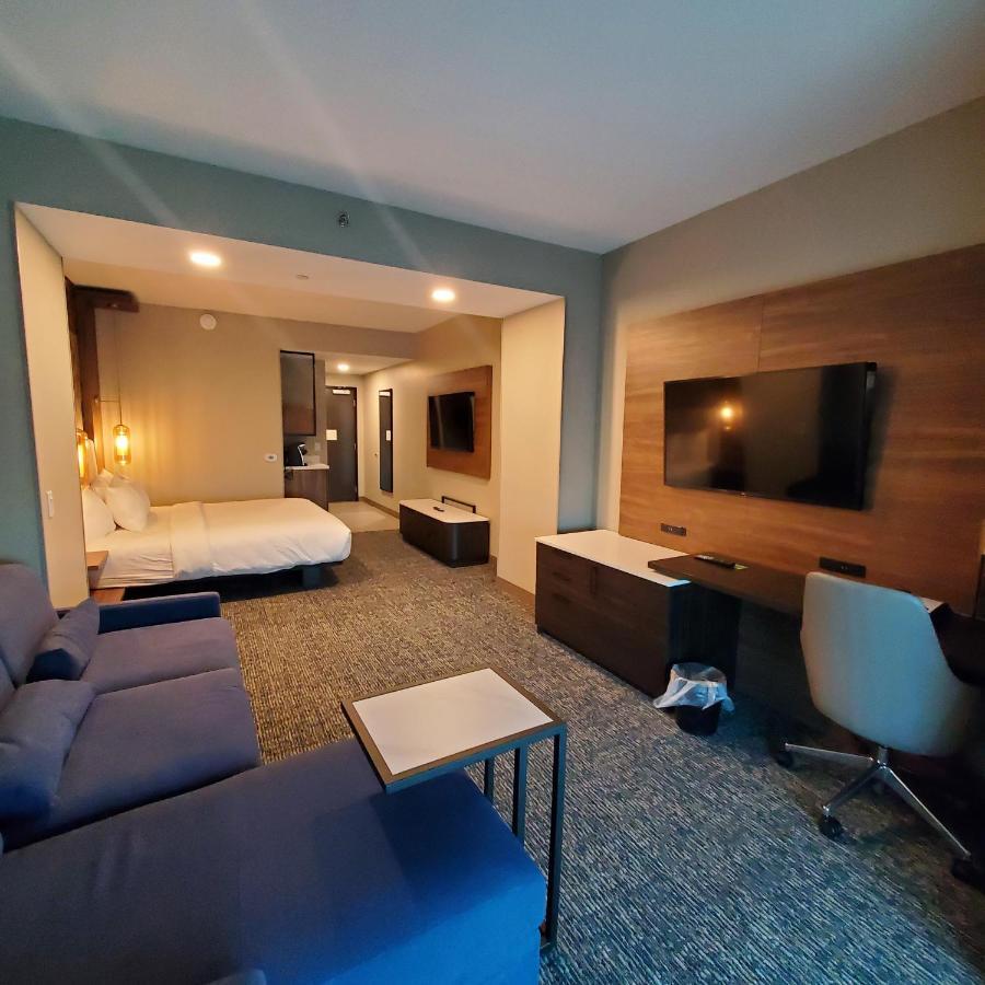 King Room Tub Grab Bars Mobility Accessible or Non-Smoking