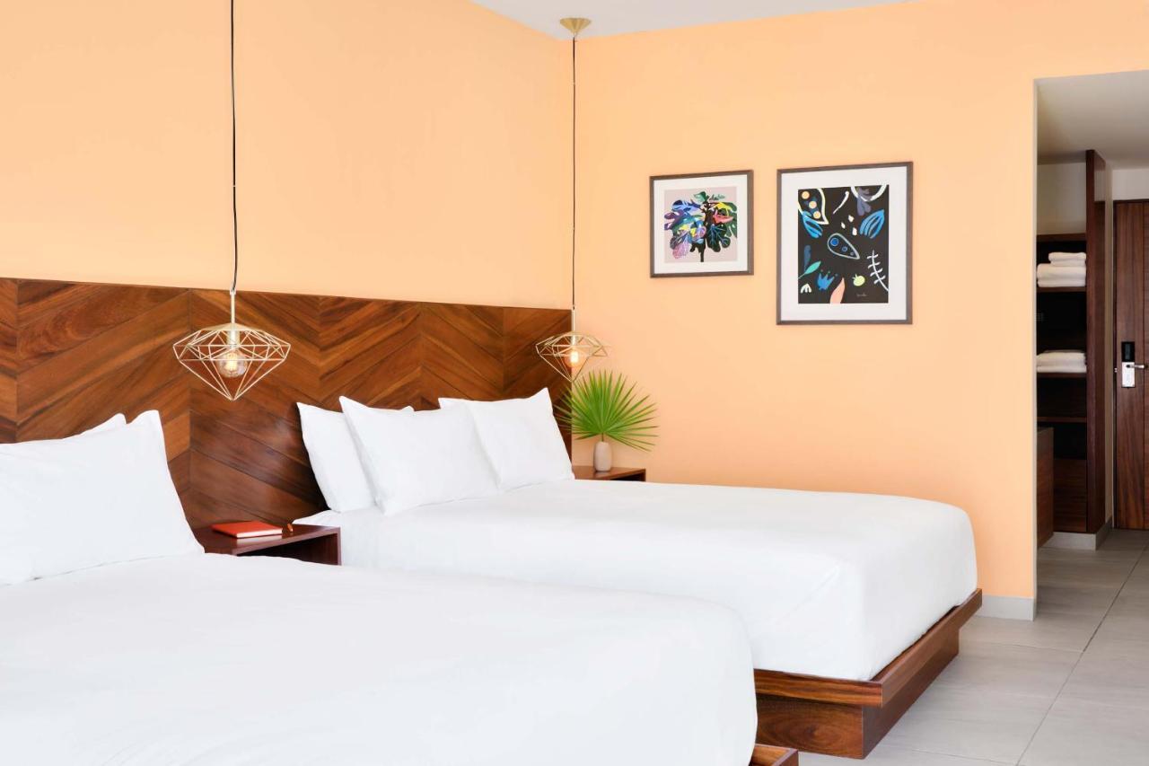 Hébergement de Luxe 2 Lits Queen-Size