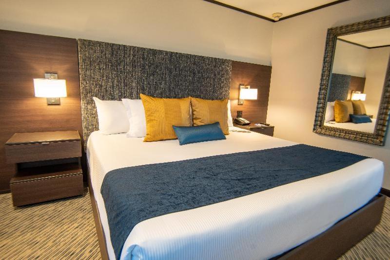 Habitación Deluxe con cama extragrande