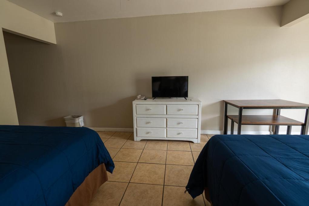 Studio 2 Lits Queen-size - Animaux Domestiques Acceptés