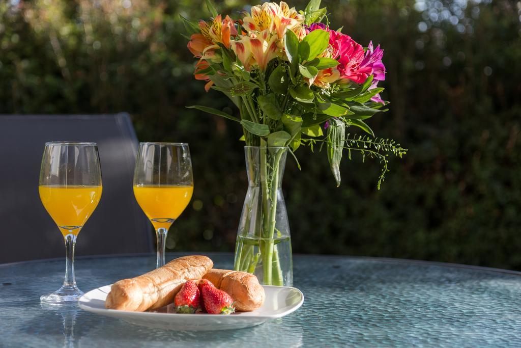 Tuin Accommodatie met 2 Slaapkamers