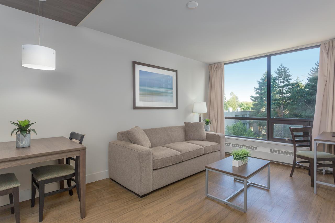 One-Bedroom King Suite Sofa Bed,643886214:JPEG