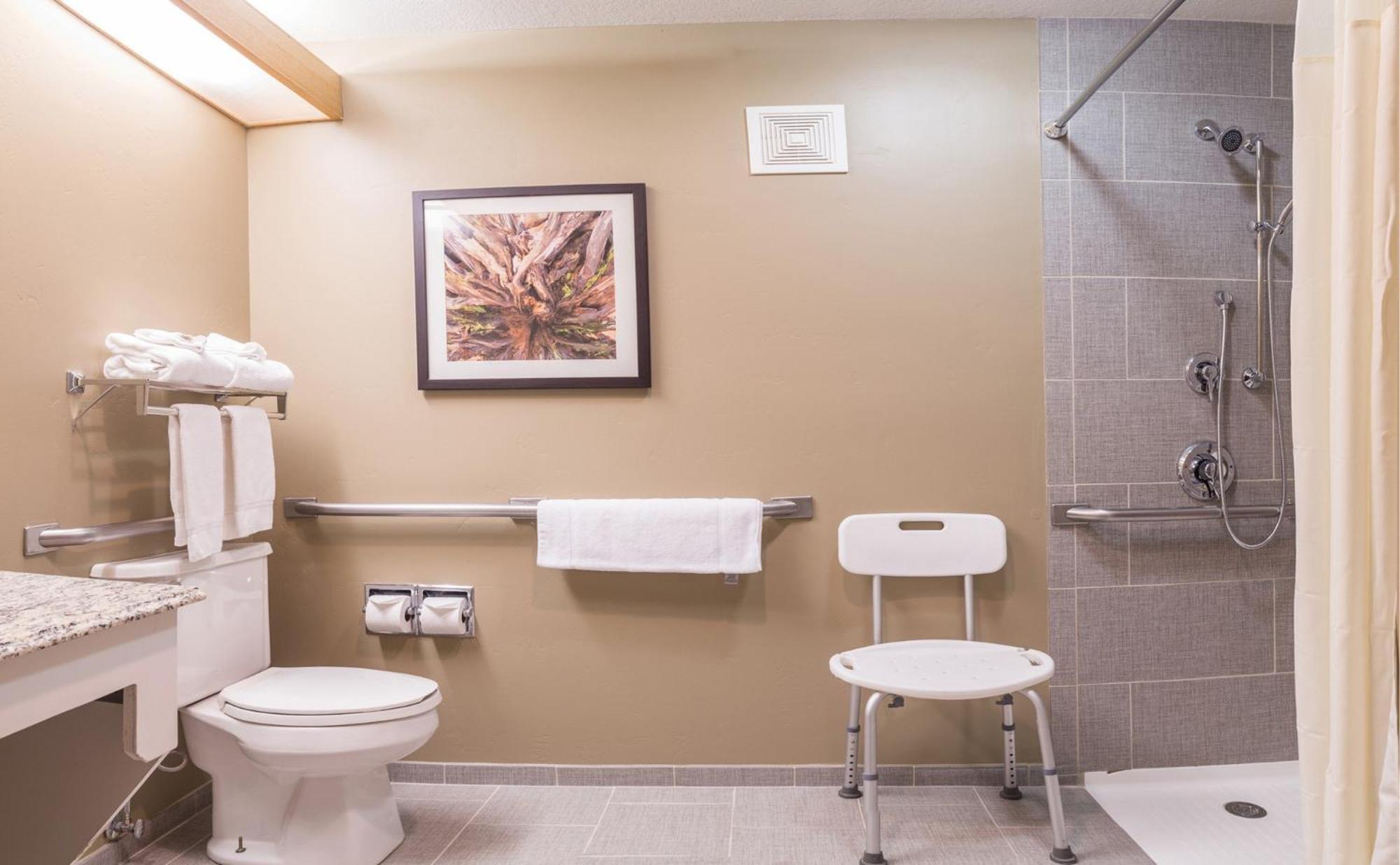 Chambre Lit Queen-Size de Luxe avec Douche à l'Italienne