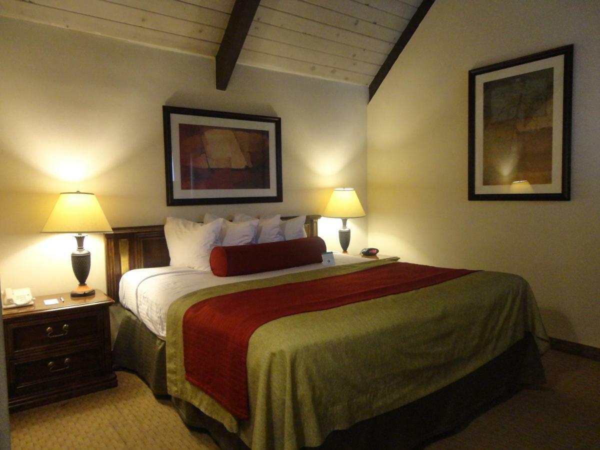 Standard Suite,926797747:JPEG