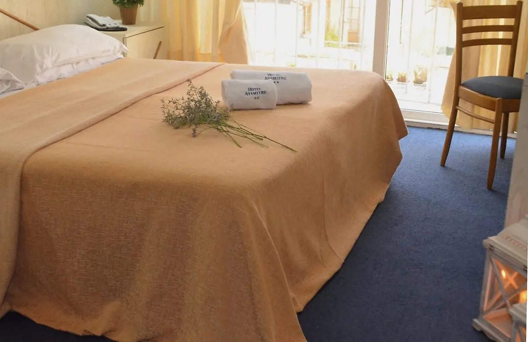Hotel Ayamitre-1