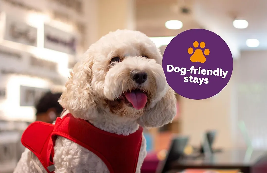 Premier Inn Dubai Al Jaddaf - An Emirates Group Company-1