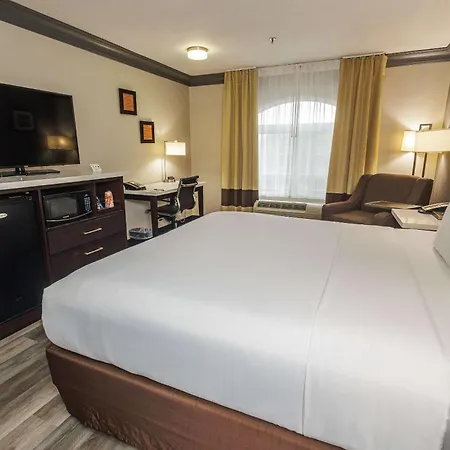 Comfort Inn & Suites Near Universal - N Hollywood - Burbank-2