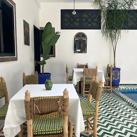 Riad Zaid-2