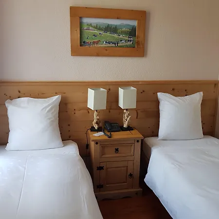 Hotel de Geneve-2