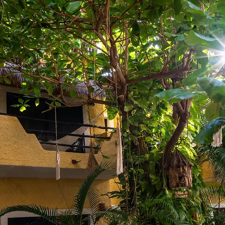 Hotel Casa Colibri-3