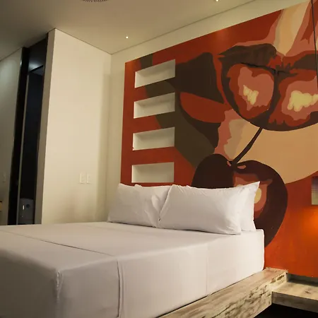 Hotel Gallery-2
