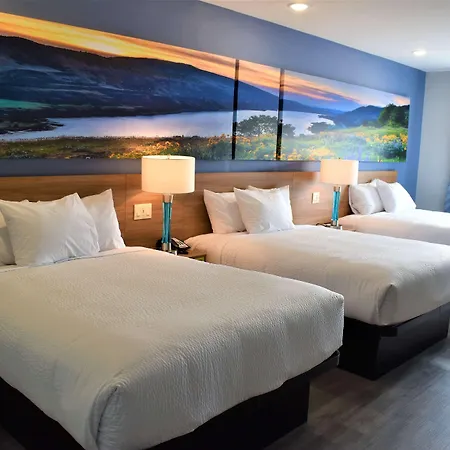 Days Inn & Suites By Wyndham Downtown/University Of Houston-3
