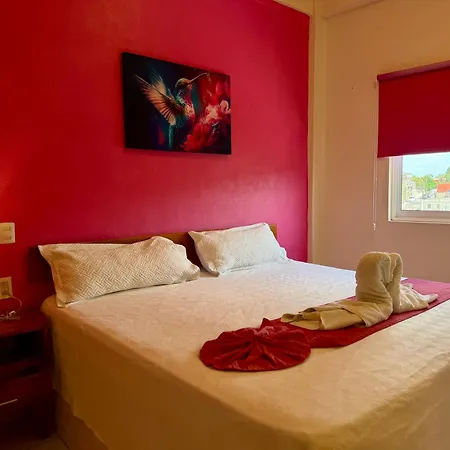 Hotel Barranquilla-3