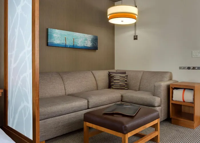 Hyatt Place Chicago/Downtown - The Loop