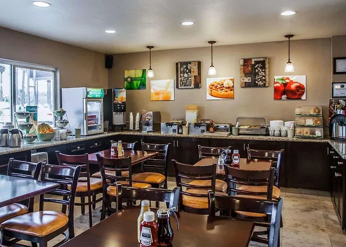 Quality Inn & Suites Anaheim At The Park