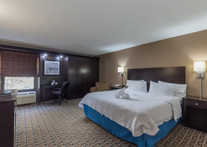Hilton Tampa Airport Westshore