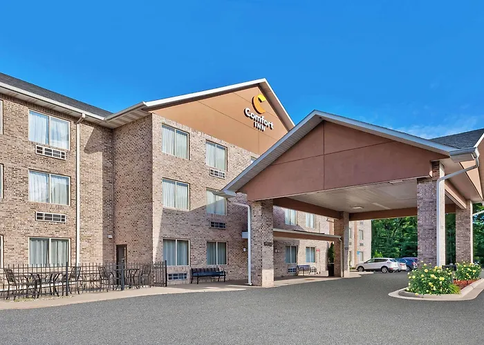 Comfort Inn Whitehall Near Michigan'S Adventure