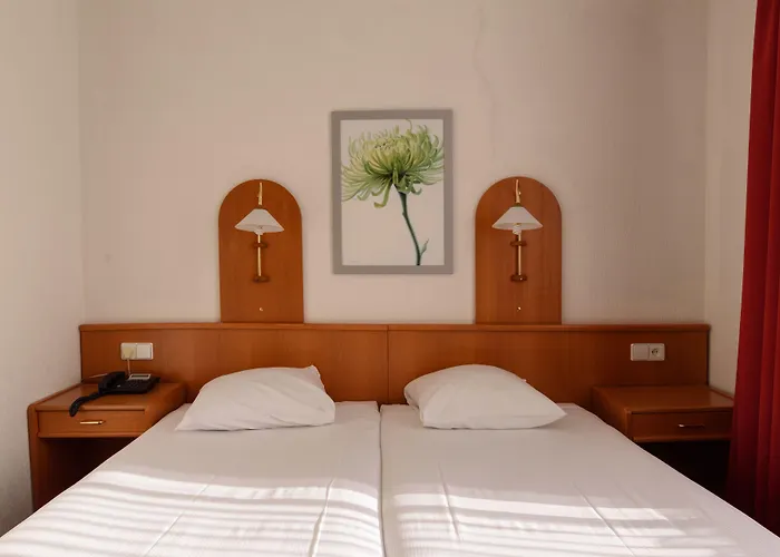 Owl Hotel
