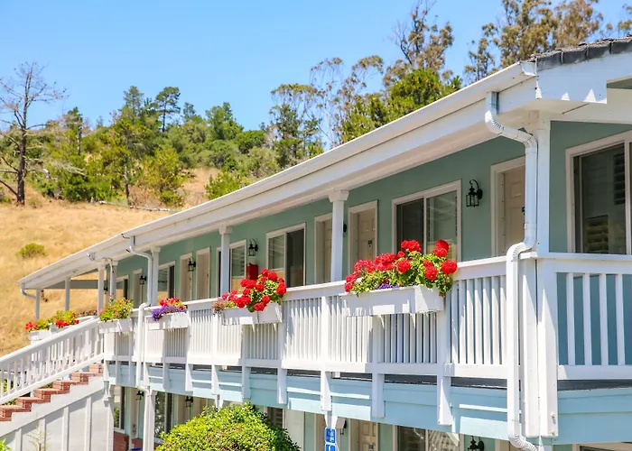 Bluebird Inn