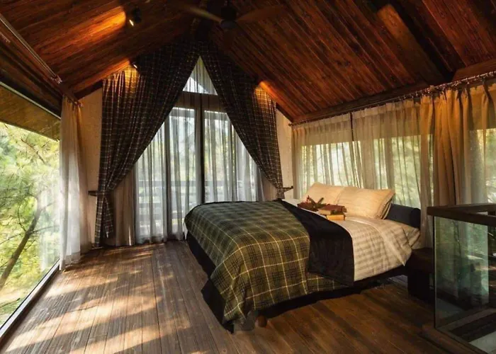 Amaya Retreat