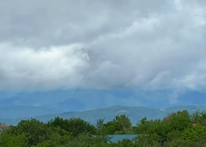 Beech Mountain Studio - Trails, Concerts & Bike Park
